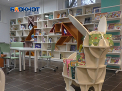 В 2025 году в ДНР откроют ещё 6 модельных библиотек