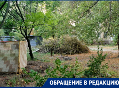 Дворы на улице Артёма в Донецке стали похожи на испытательный полигон из-за мусора  