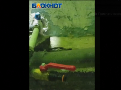 «Воды из бочки по разбитой дороге не натаскаешься» — Синцова в Донецке без воды два месяца