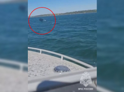 8-летний ребенок улетел в море на надувном матрасе в донецкой Ялте