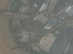 МЧС отказалось выезжать на спасение упавшей в 10-метровую яму собаки в Донецке