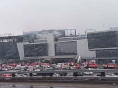 В СК России сообщили о ходе расследования теракта в «Крокус Сити Холл»