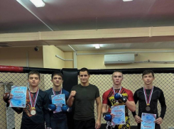В ДНР прошел чемпионат по смешанному боевому единоборству ММА