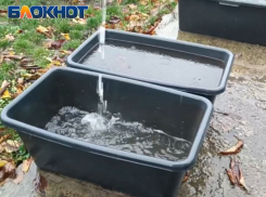 Житель ДНР собирает дождевую воду в корыта и бочки, его краны сухие уже 9 дней