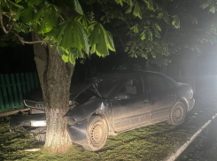 В ДТП пострадала беременная девушка: в Докучаевске автомобиль вылетел с дороги и въехал в дерево