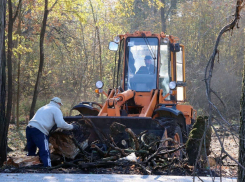 Парк «Энергетиков» в Донецке ремонтируют без выходных: обновят к Новому году
