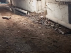 Два года подвал многоэтажки в Мариуполе топит фекалиями, а ЖЭК обвиняет во всём людей