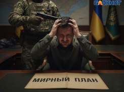 Зеленский допустил отвод ВСУ из Донбасса, «только если РС РФ тоже отойдут»: в чем он лжет