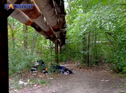 Жители улицы Бирюзова требуют убрать мусор и заросли