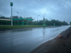 Труп на обочине: в Горловке ищут очевидцев ДТП