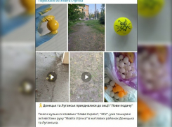 Очередную пакость задумали укронацисты: непонятные мячики могли разбросать по жилым кварталам ДНР