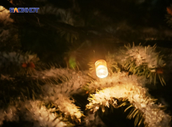 400 абонентов центрального района Донецка остались без электричества 2 января 