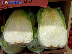 Роспотребнадзор без предупреждения проверил «Молоко» в Макеевке, сотрудников отчитали