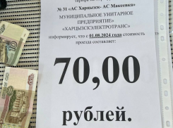 Иловайск в шоке!: из автобусов - только проходящие попутки, а стоимость на проезд взлетела больше, чем в два раза