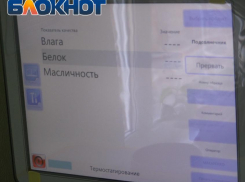 Качество урожая в ДНР, несмотря на погодные условия, не упало