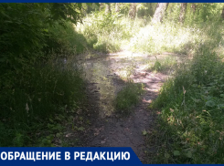 «Воняет так, что открыть форточку невозможно»: жители жалуются на порыв канализации за домом в Донецке 