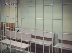 Британский наемник заочно получил 14,5 лет колонии в ДНР