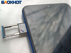 «Госуслуги» в помощь: жители ДНР смогут верифицировать сим-карты через госпортал