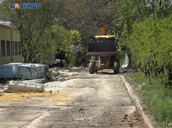 Глобальные перемены: донецкий ботанический сад преобразится в три этапа