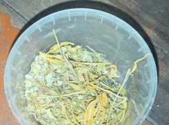 Порох и конопля: дончанин хранил дома боеприпасы и наркотики