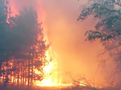 Вспыхнет, как бензин: 9-10 июня в ДНР объявлена чрезвычайная пожароопасность
