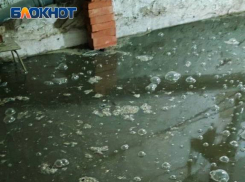 Фекальный бассейн в бомбоубежище дома №12 в 57-ом квартале Макеевки портит жизнь жильцам 