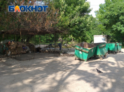 Как феникс возрождается из пепла: в Калининском районе Донецка опять скопились горы мусора