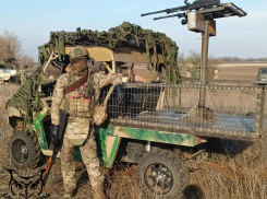 Точка в битве за южный Донбасс: освобождена Камышеваха в ДНР