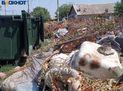 Утилизация отходов должна стать удобной: как решить проблему стихийных свалок в ДНР