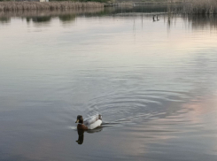 Студенты из 22 городов России работают над преображением прибрежной зоны в Донецке