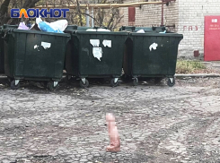  Огромный фаллоимитатор нашли у мусорных баков в Донецке в Мирном микрорайоне