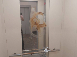 В Мариуполе подростки измазали лифт и подъезд какашками 