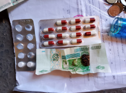 В Ялте накрыли подпольную плантацию: почти 200 кустов конопли и гашишное масло