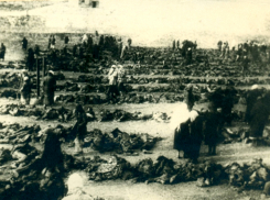 ФСБ рассекретила уникальные фотографии зверств и документы об ущербе немецко-фашистских захватчиков в Сталинской (Донецкой) области