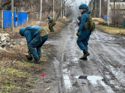 Около 200 мин «Лепесток» уничтожили специалисты МЧС в Петровском районе Донецка 