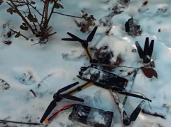 Украинский летающий «Бородавочник» пытался оставить жителей ДНР без света