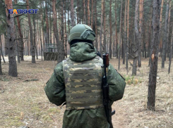 Украинские террористы бегут: все больше территорий переходит под контроль ВС РФ