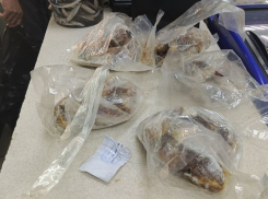 Захотелось краснокнижной рыбки: в Мариуполе задержали группу лиц за сбыт осетровых 