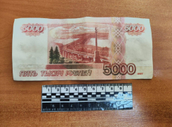 Поддельный богатей из Макеевки распространял фальшивые деньги по ДНР