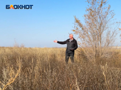 Приставами отказано: житель ДНР не может добиться от бывших арендаторов приведения в порядок своих сельхозземель