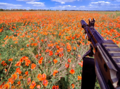 Заход ВС РФ в Днепропетровскую область – политический и военный удар по Киеву