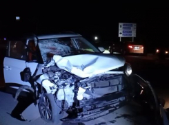 Погиб четырехлетний ребенок: в ДНР произошло смертельное ДТП с мопедом