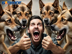 В ДНР ОПГ из дворовых собак держит в страхе местных жителей