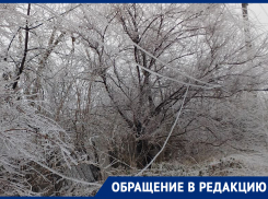 «В РЭС не приняли заявку, бросили трубку!»: жители Донецка не могут достучаться в аварийные службы