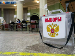 Как пройдут сентябрьские выборы в прифронтовых районах ДНР и где смогут проголосовать дончане, рассказали в Избирком