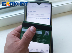 Пенсии в Донецке придут по графику: когда ждать социальных выплат в июне