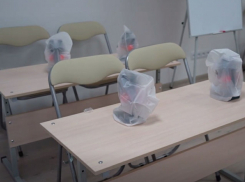 Детские интерактивные учебные комнаты открываются в музеях ДНР