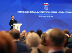 Дмитрий Медведев подчеркнул особую ответственность работы муниципальных депутатов 