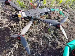 Молокозавод под защитой: «Купол Донбасса» предотвратил атаку БПЛА ВСУ в Горловке