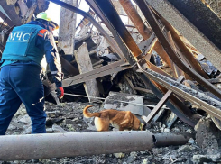 В ДНР обрушилось здание: под завалами обнаружили тела двух погибших